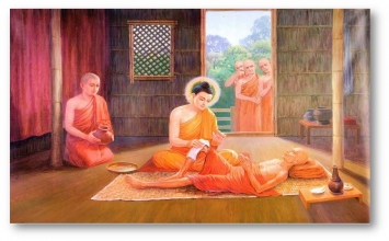 Thân là gốc khổ 